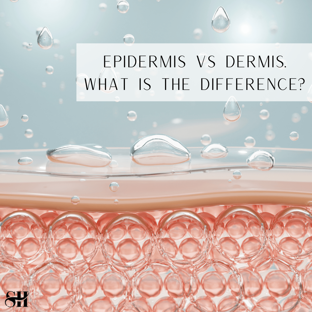 Epidermis vs Dermis: What Is The Difference?