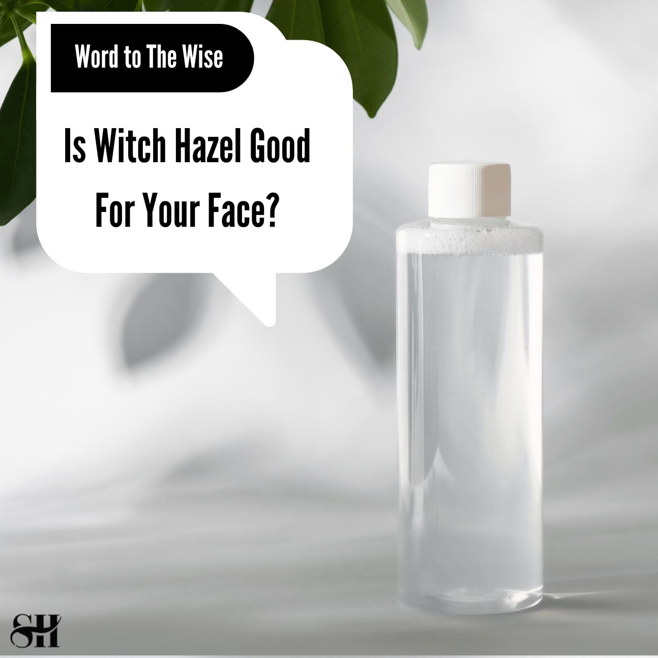 Is Witch Hazel Good For Your Face?